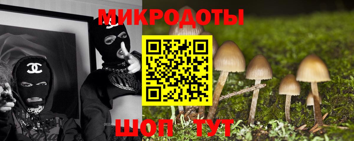 Галлюциногенные грибы Cubensis Арзамас