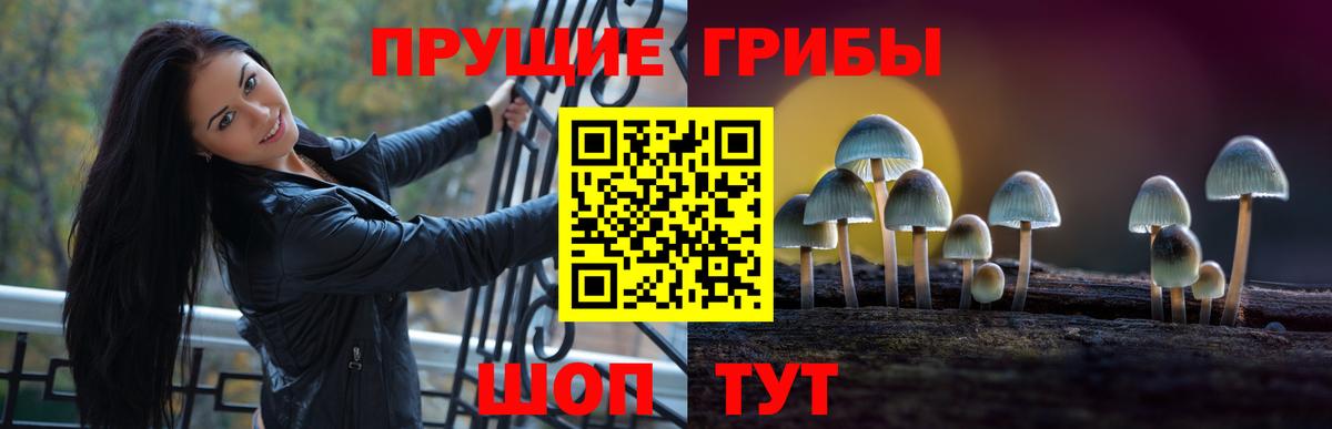 наркотики  Галлюциногенные грибы MAGIC MUSHROOMS  Вход с VPN  Арзамас 